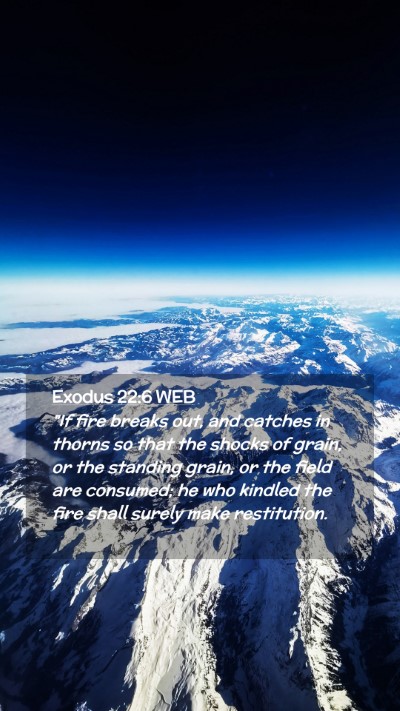 Picture 02 - Exodus 22:6 WEB Mobile Phone Wallpaper - 