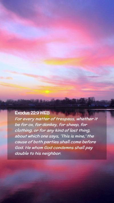 Picture 02 - Exodus 22:9 WEB Mobile Phone Wallpaper - For every matter of trespass, whether it be for - Mobile Bible Verse Wallpaper