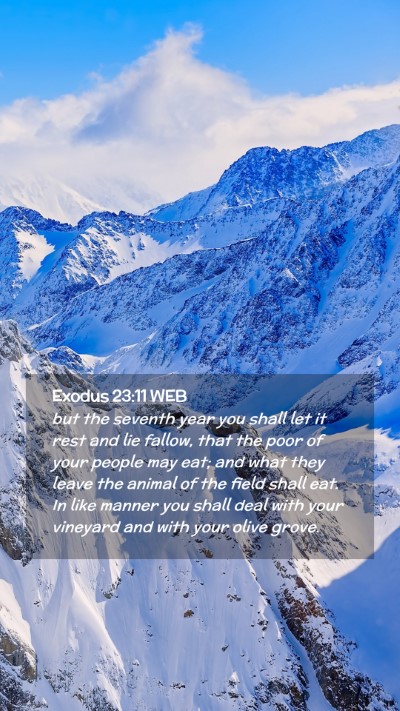 Picture 02 - Exodus 23:11 WEB Mobile Phone Wallpaper - but the seventh year you shall let it rest and - Mobile Bible Verse Wallpaper