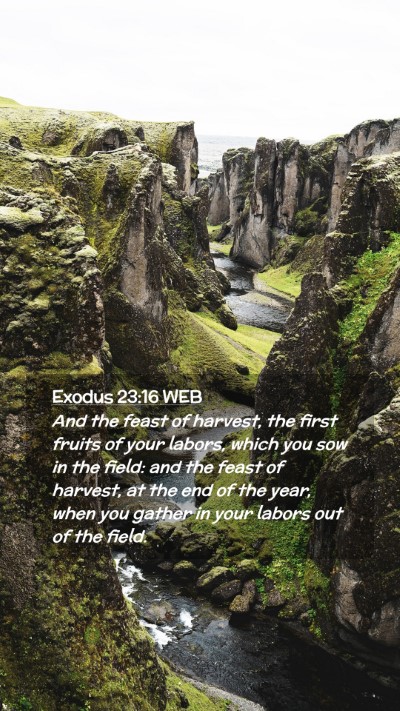 Picture 02 - Exodus 23:16 WEB Mobile Phone Wallpaper - And the feast of harvest, the first fruits of - Mobile Bible Verse Wallpaper