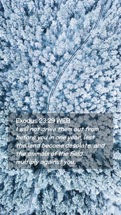 Picture 02 - Exodus 23:29 WEB Mobile Phone Wallpaper - I will not drive them out from before you in one - Mobile Bible Verse Wallpaper