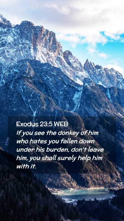 Picture 02 - Exodus 23:5 WEB Mobile Phone Wallpaper - If you see the donkey of him who hates you fallen - Mobile Bible Verse Wallpaper