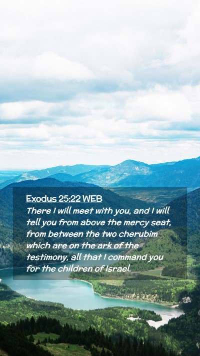 Picture 02 - Exodus 25:22 WEB Mobile Phone Wallpaper - There I will meet with you, and I will tell you - Mobile Bible Verse Wallpaper