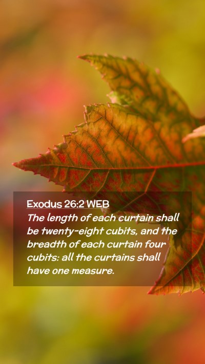 Picture 02 - Exodus 26:2 WEB Mobile Phone Wallpaper - The length of each curtain shall be twenty-eight - Mobile Bible Verse Wallpaper
