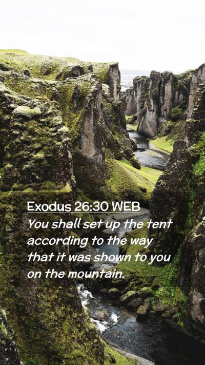 Picture 02 - Exodus 26:30 WEB Mobile Phone Wallpaper - You shall set up the tent according to the way - Mobile Bible Verse Wallpaper
