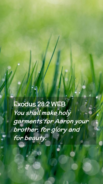 Picture 02 - Exodus 28:2 WEB Mobile Phone Wallpaper - You shall make holy garments for Aaron your - Mobile Bible Verse Wallpaper
