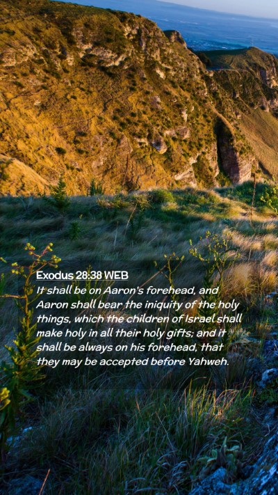 Picture 02 - Exodus 28:38 WEB Mobile Phone Wallpaper - It shall be on Aaron's forehead, and Aaron shall - Mobile Bible Verse Wallpaper