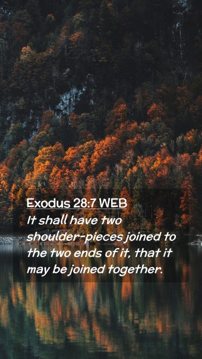 Picture 02 - Exodus 28:7 WEB Mobile Phone Wallpaper - It shall have two shoulder-pieces joined to the - Mobile Bible Verse Wallpaper