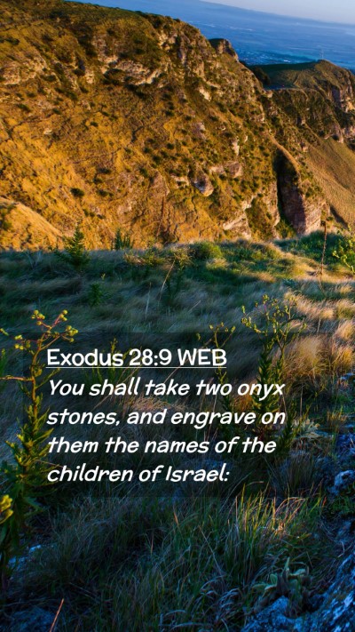 Picture 02 - Exodus 28:9 WEB Mobile Phone Wallpaper - You shall take two onyx stones, and engrave on - Mobile Bible Verse Wallpaper