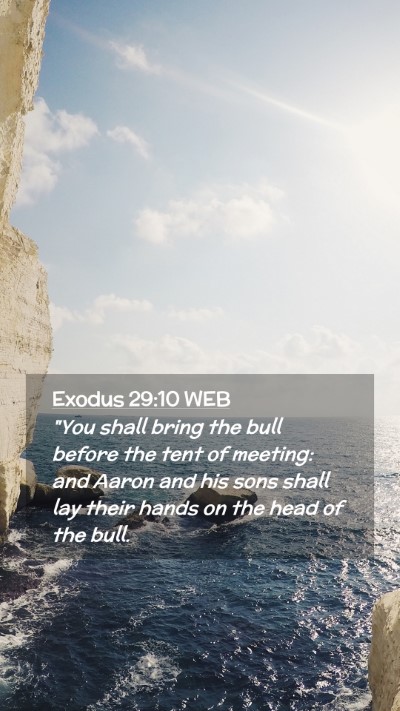 Picture 02 - Exodus 29:10 WEB Mobile Phone Wallpaper - 