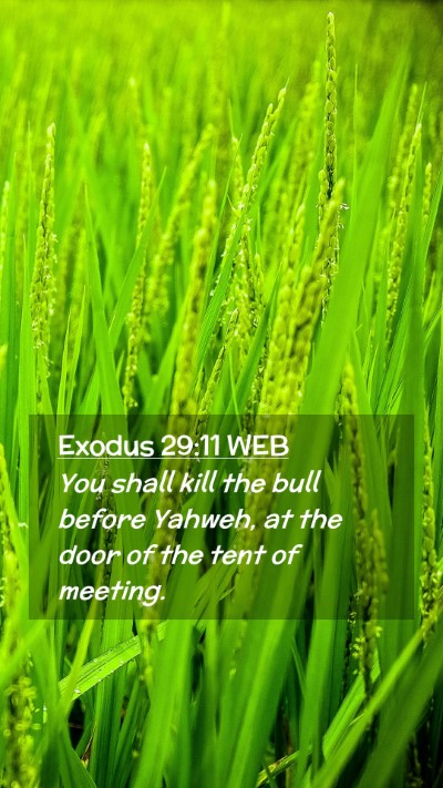 Picture 02 - Exodus 29:11 WEB Mobile Phone Wallpaper - You shall kill the bull before Yahweh, at the - Mobile Bible Verse Wallpaper