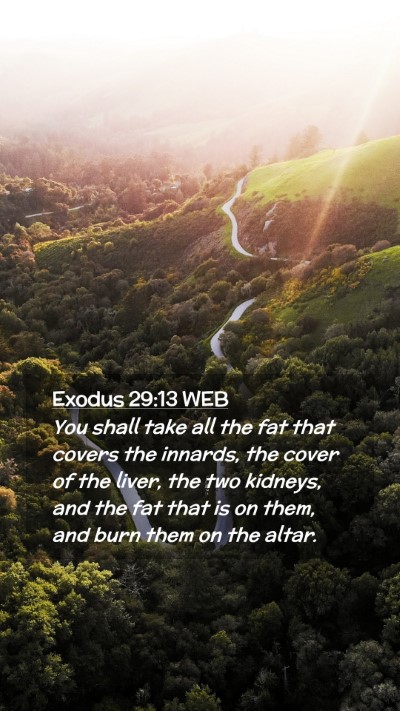 Picture 02 - Exodus 29:13 WEB Mobile Phone Wallpaper - You shall take all the fat that covers the - Mobile Bible Verse Wallpaper