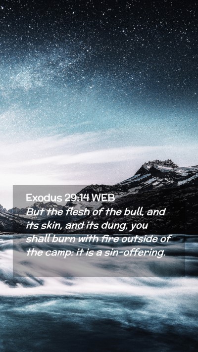 Picture 02 - Exodus 29:14 WEB Mobile Phone Wallpaper - But the flesh of the bull, and its skin, and its - Mobile Bible Verse Wallpaper