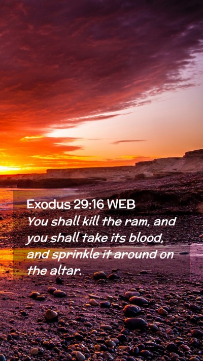 Picture 02 - Exodus 29:16 WEB Mobile Phone Wallpaper - You shall kill the ram, and you shall take its - Mobile Bible Verse Wallpaper