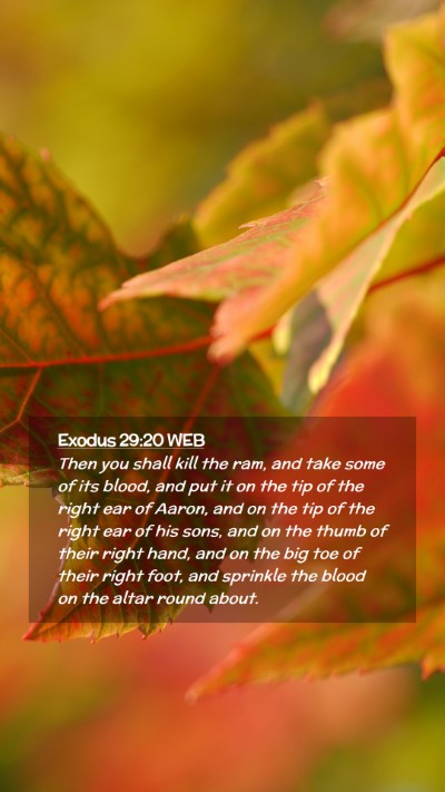 Picture 02 - Exodus 29:20 WEB Mobile Phone Wallpaper - Then you shall kill the ram, and take some of its - Mobile Bible Verse Wallpaper