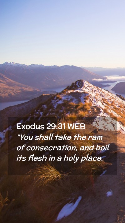 Picture 02 - Exodus 29:31 WEB Mobile Phone Wallpaper - 