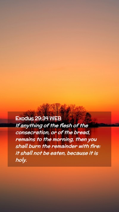 Picture 02 - Exodus 29:34 WEB Mobile Phone Wallpaper - If anything of the flesh of the consecration, or - Mobile Bible Verse Wallpaper