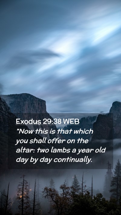 Picture 02 - Exodus 29:38 WEB Mobile Phone Wallpaper - 