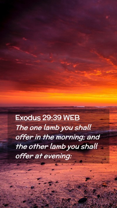 Picture 02 - Exodus 29:39 WEB Mobile Phone Wallpaper - The one lamb you shall offer in the morning; and - Mobile Bible Verse Wallpaper
