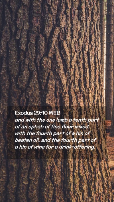 Picture 02 - Exodus 29:40 WEB Mobile Phone Wallpaper - and with the one lamb a tenth part of an ephah of - Mobile Bible Verse Wallpaper