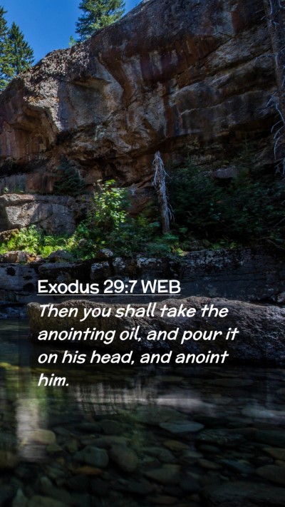 Picture 02 - Exodus 29:7 WEB Mobile Phone Wallpaper - Then you shall take the anointing oil, and pour - Mobile Bible Verse Wallpaper