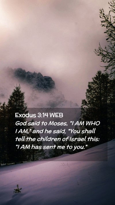 Picture 02 - Exodus 3:14 WEB Mobile Phone Wallpaper - God said to Moses, 