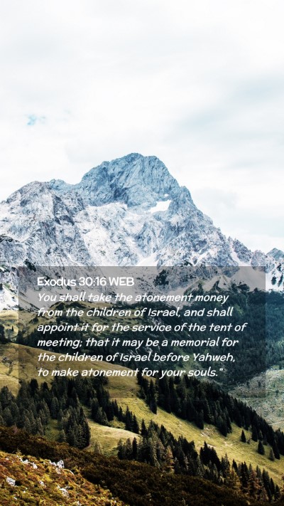 Picture 02 - Exodus 30:16 WEB Mobile Phone Wallpaper - You shall take the atonement money from the - Mobile Bible Verse Wallpaper