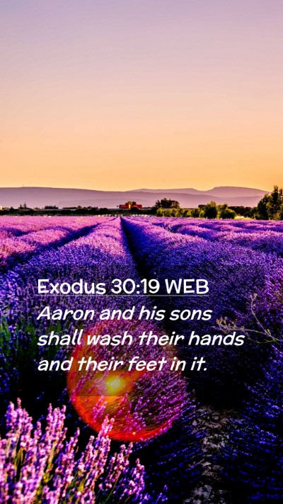 Picture 02 - Exodus 30:19 WEB Mobile Phone Wallpaper - Aaron and his sons shall wash their hands and - Mobile Bible Verse Wallpaper