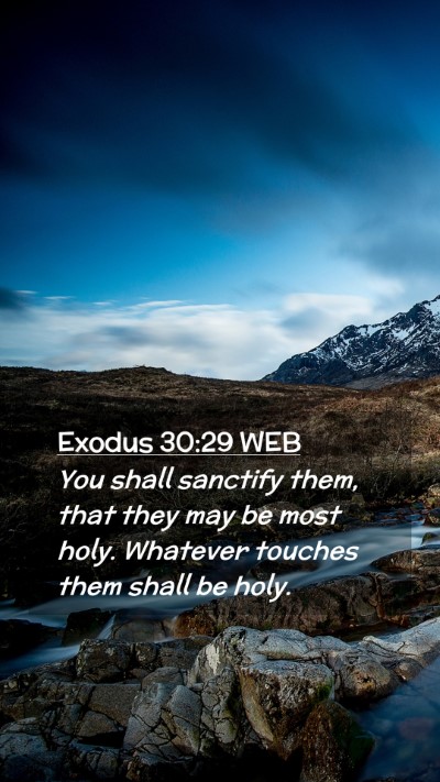Picture 02 - Exodus 30:29 WEB Mobile Phone Wallpaper - You shall sanctify them, that they may be most - Mobile Bible Verse Wallpaper