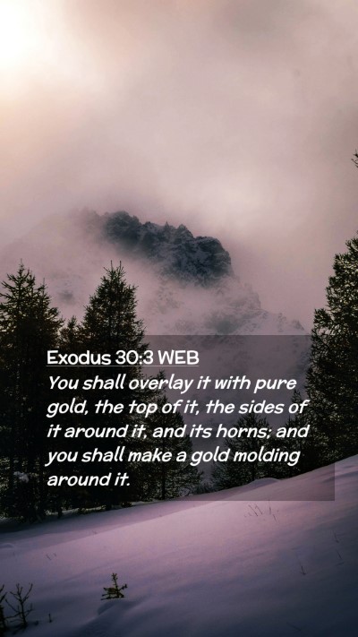 Picture 02 - Exodus 30:3 WEB Mobile Phone Wallpaper - You shall overlay it with pure gold, the top of - Mobile Bible Verse Wallpaper