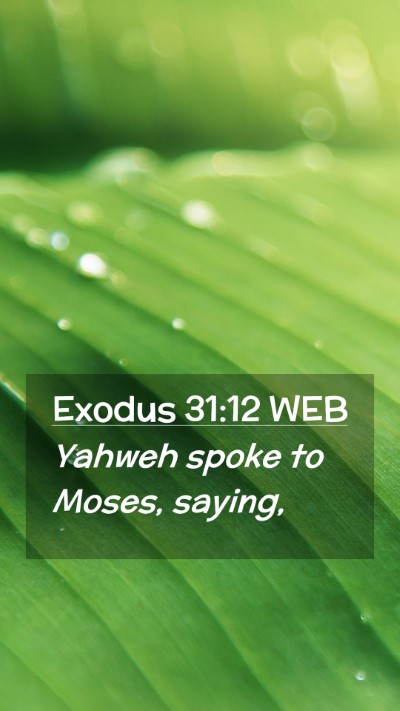 Picture 02 - Exodus 31:12 WEB Mobile Phone Wallpaper - Yahweh spoke to Moses, - Mobile Bible Verse Wallpaper
