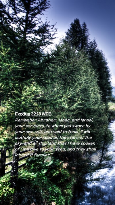 Picture 02 - Exodus 32:13 WEB Mobile Phone Wallpaper - Remember Abraham, Isaac, and Israel, your - Mobile Bible Verse Wallpaper