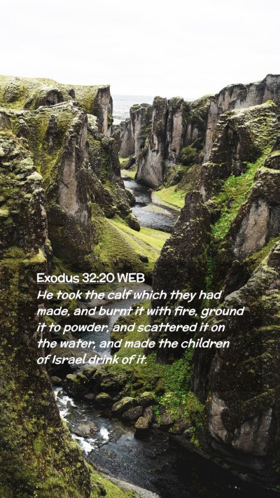 Picture 02 - Exodus 32:20 WEB Mobile Phone Wallpaper - He took the calf which they had made, and burnt - Mobile Bible Verse Wallpaper