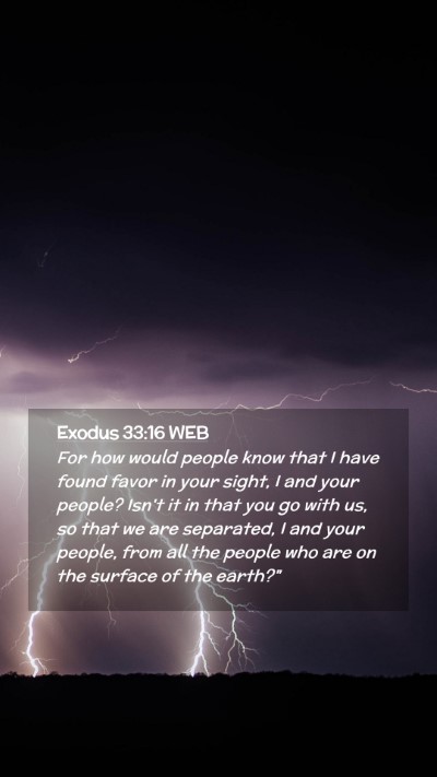 Picture 02 - Exodus 33:16 WEB Mobile Phone Wallpaper - For how would people know that I have found favor - Mobile Bible Verse Wallpaper