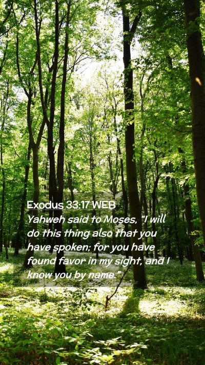 Picture 02 - Exodus 33:17 WEB Mobile Phone Wallpaper - Yahweh said to Moses, 