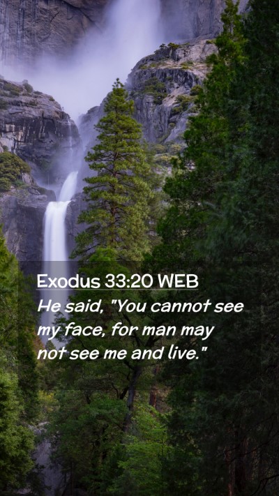 Picture 02 - Exodus 33:20 WEB Mobile Phone Wallpaper - He said, 