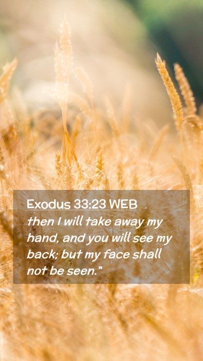 Picture 02 - Exodus 33:23 WEB Mobile Phone Wallpaper - then I will take away my hand, and you will see - Mobile Bible Verse Wallpaper