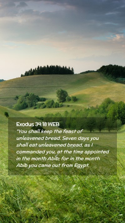 Picture 02 - Exodus 34:18 WEB Mobile Phone Wallpaper - 