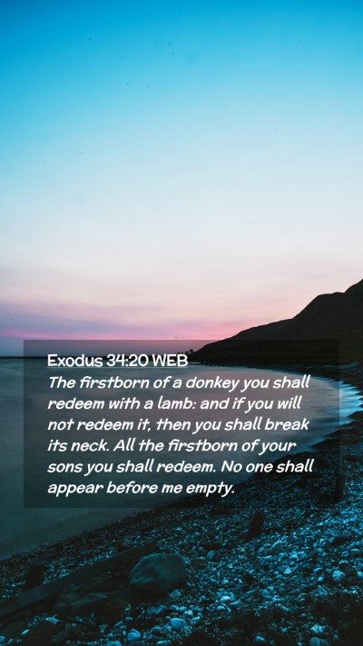 Picture 02 - Exodus 34:20 WEB Mobile Phone Wallpaper - The firstborn of a donkey you shall redeem with a - Mobile Bible Verse Wallpaper