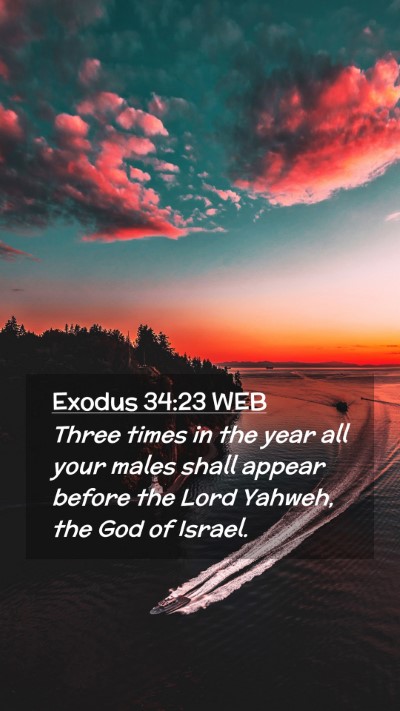 Picture 02 - Exodus 34:23 WEB Mobile Phone Wallpaper - Three times in the year all your males shall - Mobile Bible Verse Wallpaper