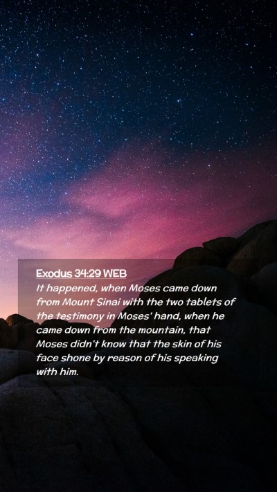 Picture 02 - Exodus 34:29 WEB Mobile Phone Wallpaper - It happened, when Moses came down from Mount - Mobile Bible Verse Wallpaper