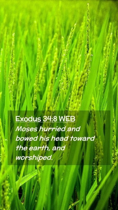 Picture 02 - Exodus 34:8 WEB Mobile Phone Wallpaper - Moses hurried and bowed his head toward the - Mobile Bible Verse Wallpaper