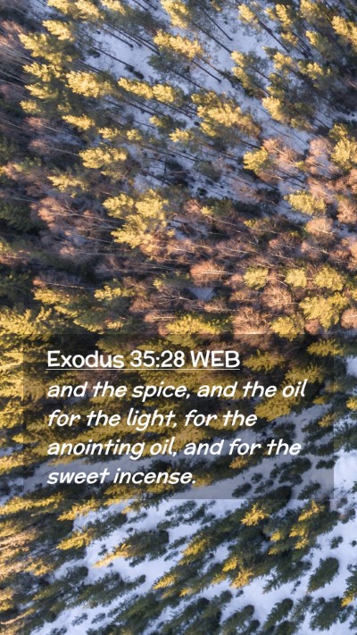 Picture 02 - Exodus 35:28 WEB Mobile Phone Wallpaper - and the spice, and the oil for the light, for the - Mobile Bible Verse Wallpaper
