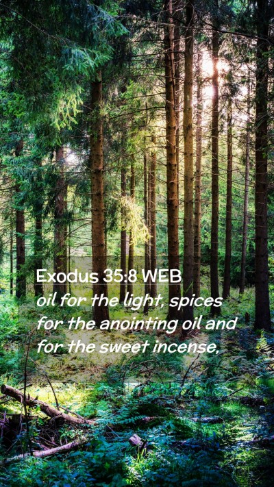 Picture 02 - Exodus 35:8 WEB Mobile Phone Wallpaper - oil for the light, spices for the anointing oil - Mobile Bible Verse Wallpaper