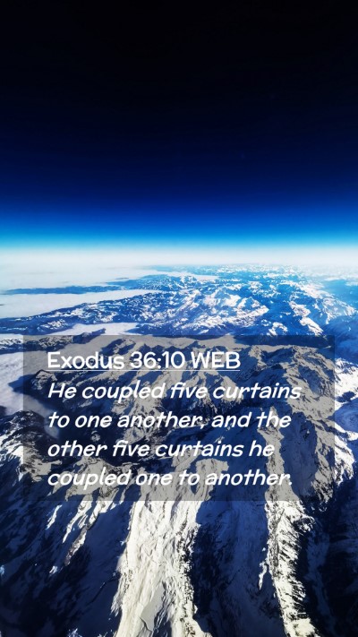 Picture 02 - Exodus 36:10 WEB Mobile Phone Wallpaper - He coupled five curtains to one another, and the - Mobile Bible Verse Wallpaper