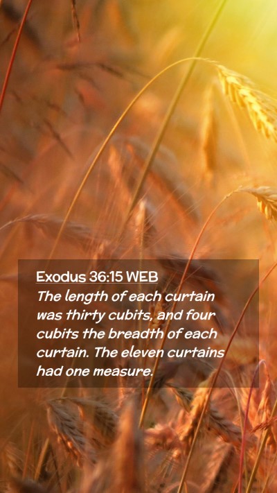 Picture 02 - Exodus 36:15 WEB Mobile Phone Wallpaper - The length of each curtain was thirty cubits, and - Mobile Bible Verse Wallpaper