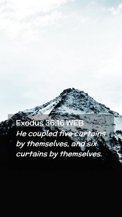 Picture 02 - Exodus 36:16 WEB Mobile Phone Wallpaper - He coupled five curtains by themselves, and six - Mobile Bible Verse Wallpaper