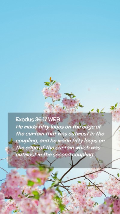 Picture 02 - Exodus 36:17 WEB Mobile Phone Wallpaper - He made fifty loops on the edge of the curtain - Mobile Bible Verse Wallpaper