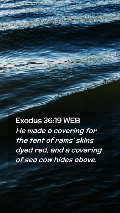 Picture 02 - Exodus 36:19 WEB Mobile Phone Wallpaper - He made a covering for the tent of rams' skins - Mobile Bible Verse Wallpaper