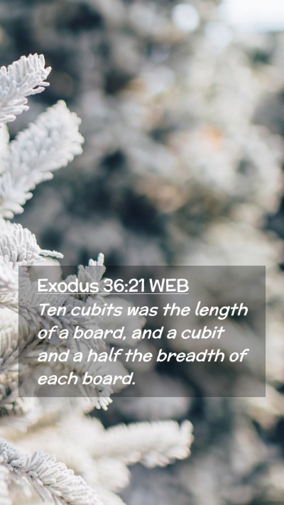 Picture 02 - Exodus 36:21 WEB Mobile Phone Wallpaper - Ten cubits was the length of a board, and a cubit - Mobile Bible Verse Wallpaper